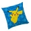 Pokémon sheets, pillows and blankets