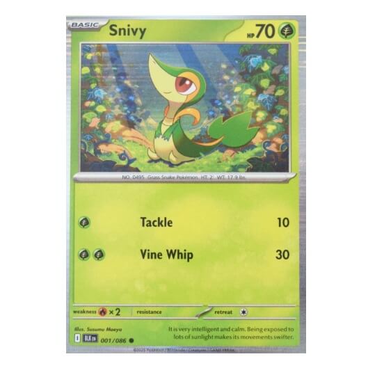 Pokémon promo card Snivy from Poster Collection Black and White