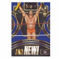 2024 Panini Select WWE Wrestling Hobby Box Card 3