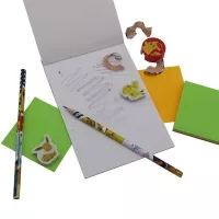 Pokémon school set