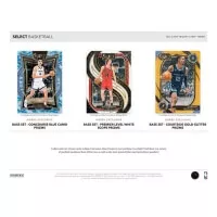 2024-2025 NBA Cards Panini Select Basketball Hobby Box