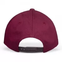 Pokémon Eevee Cap - Snapback