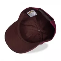 Pokémon Eevee Cap - Snapback