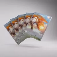 Card Sleeves Gamegenic Magic: the Gathering Premium Art Sleeves Lorwyn Eclipsed - Gamegenic Magic: the Gathering Premium Art Sleeves Lorwyn Eclipsed - Eirdu, Carrier of Dawn
